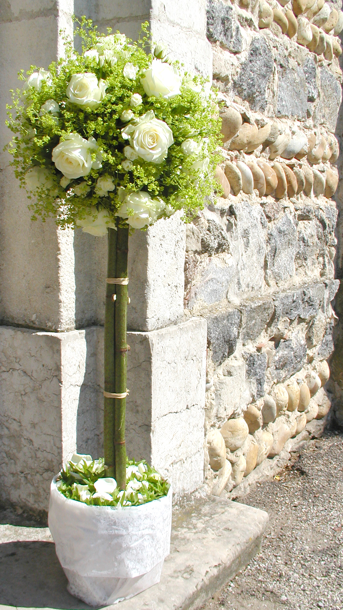 pour vous,à Brégnier cordon