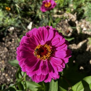 Au jardin,magnifique
